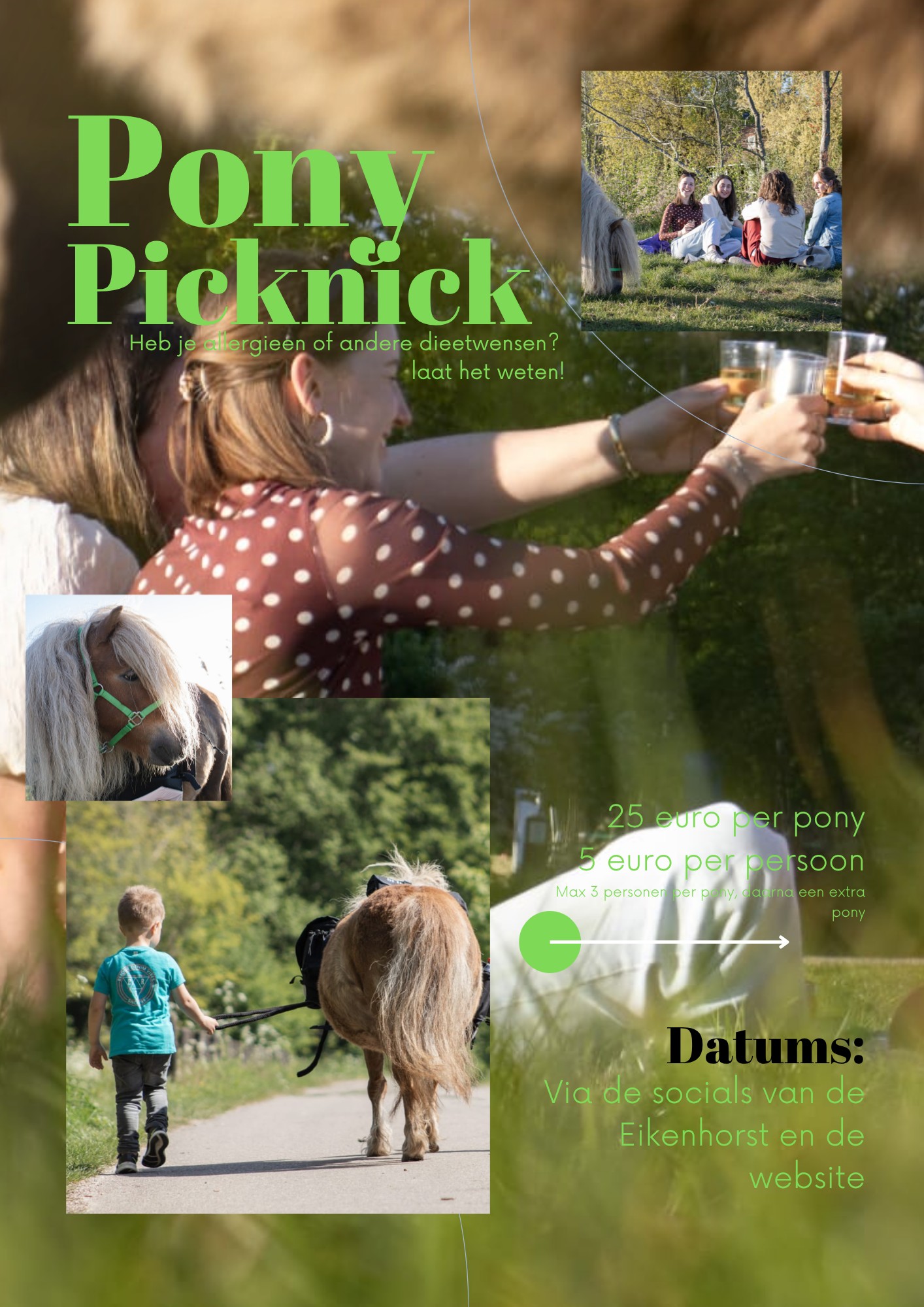Pony Picknick poster (002)